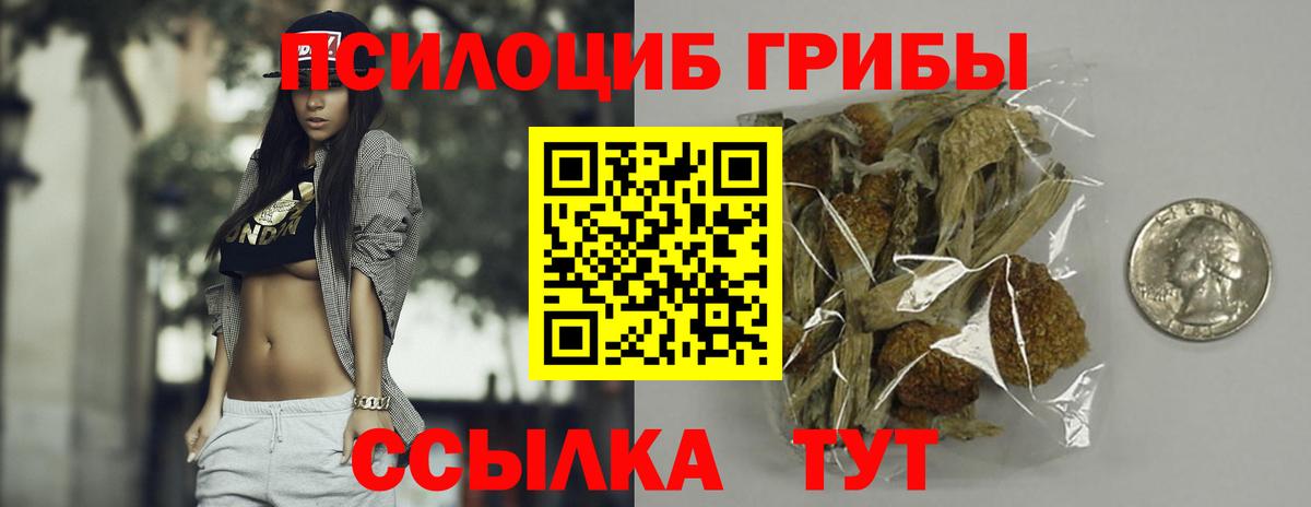 Галлюциногенные грибы Cubensis Шарыпово